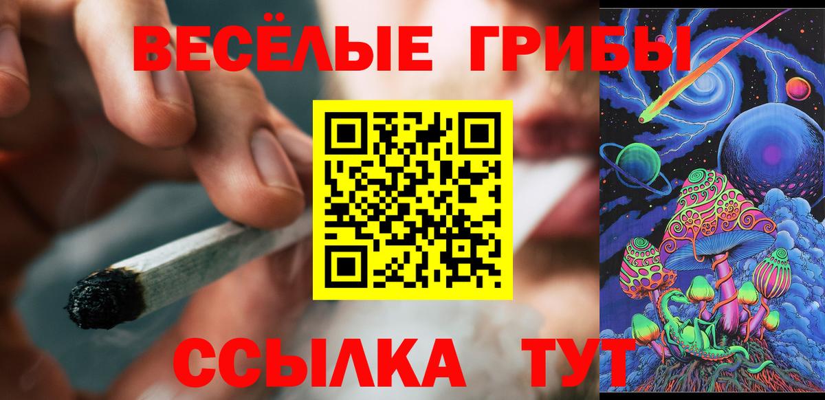 Псилоцибиновые грибы Magic Shrooms Тутаев