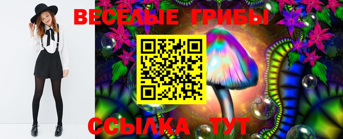 Тутаев  Галлюциногенные грибы прущие грибы  Вход с VPN  Галлюциногенные грибы Psilocybine cubensis 