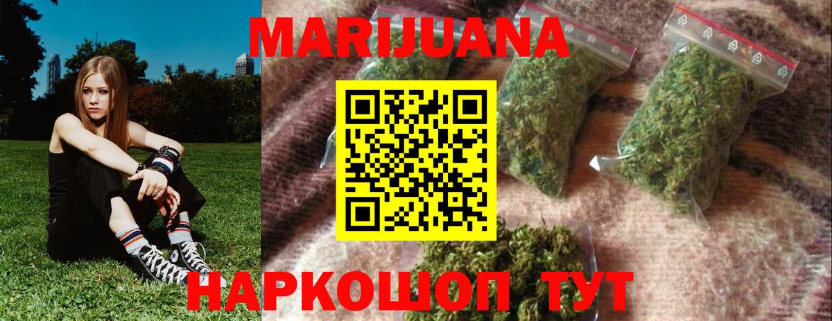 Конопля планчик  Канабис сатива  Тутаев  Вход с VPN 